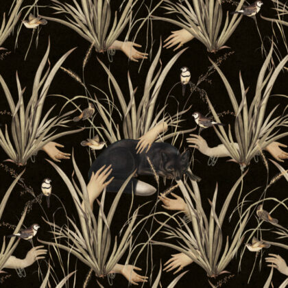 Ciemna tapeta Czarny Lis By Foxes.