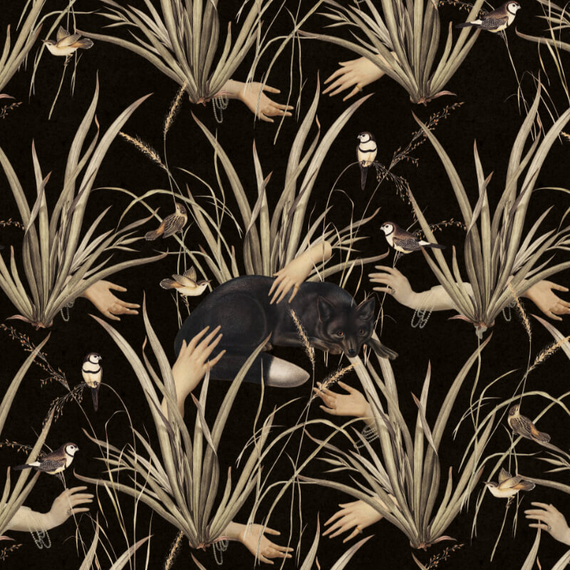 Ciemna tapeta Czarny Lis By Foxes.