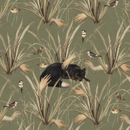 Ciemno oliwkowa tapeta Czarny Lis By Foxes.