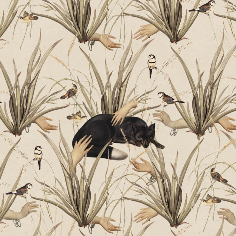 Jasno beżowa tapeta Czarny Lis By Foxes.