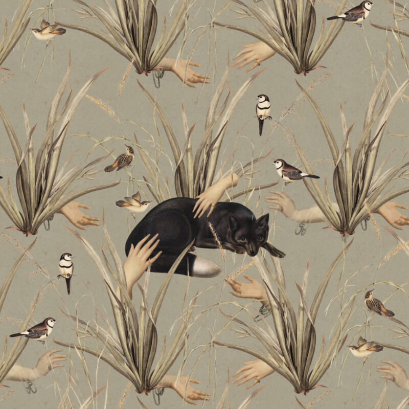 Tapeta szaro oliwkowa CZARNY LIS By Foxes.