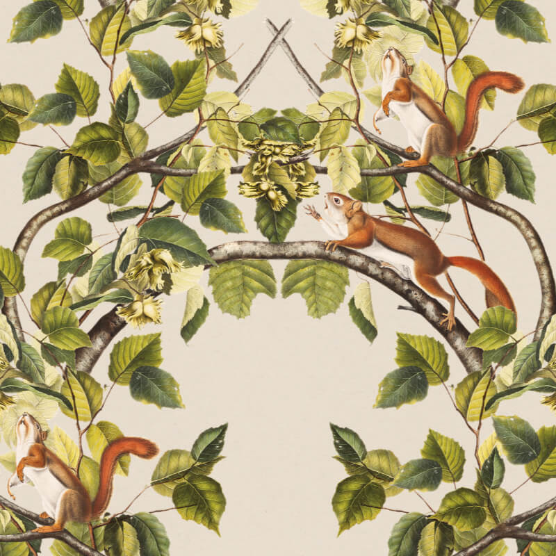 Jasna zielona tapeta leszczyna drzewa wiewiorki byfoxes